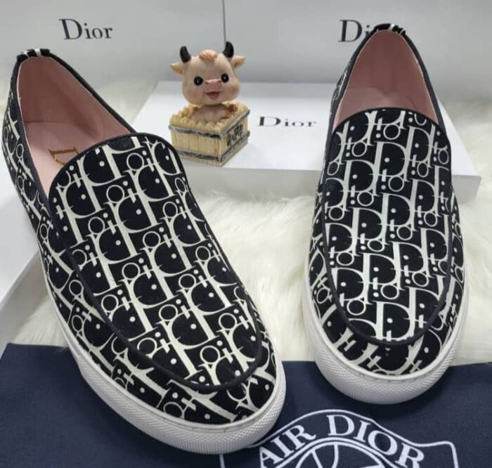 Dior Italian Mens Loafers | Elite Footwears